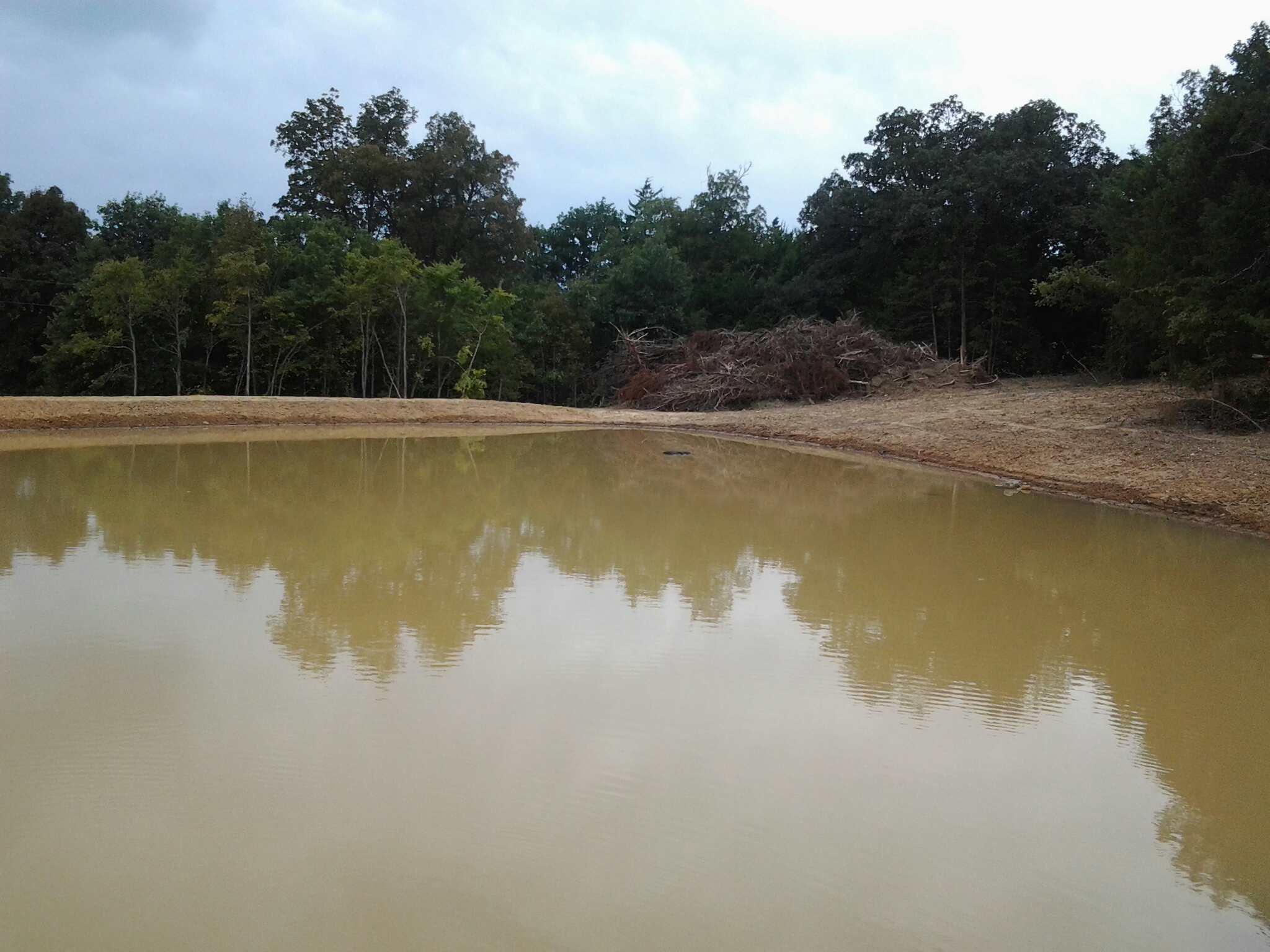 Attached picture pond 3.JPG
